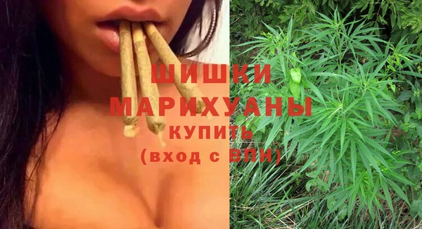 прущие грибы Алзамай