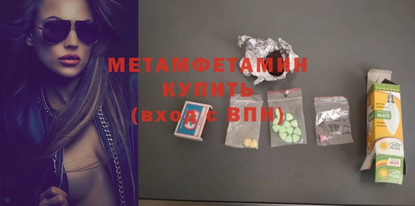 индика Мегион