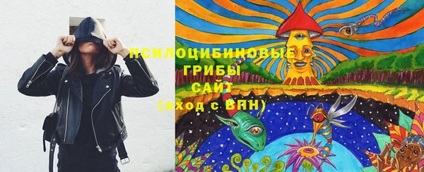 хмурый Алексин