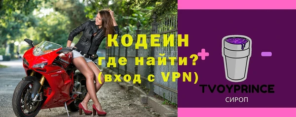 хмурый Алексин