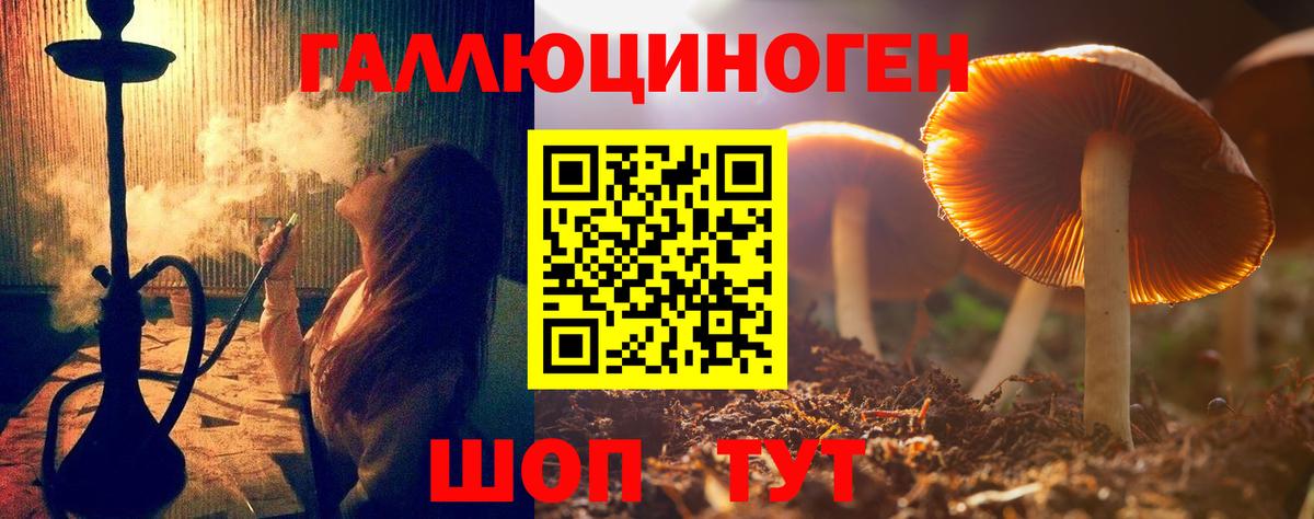 Псилоцибиновые грибы GOLDEN TEACHER Нефтекамск