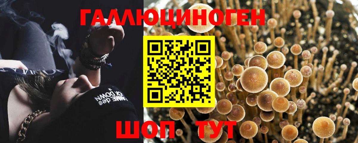 Галлюциногенные грибы Magic Shrooms  Псилоцибиновые грибы ЛСД  цены наркотик  Вход с VPN  Нефтекамск 